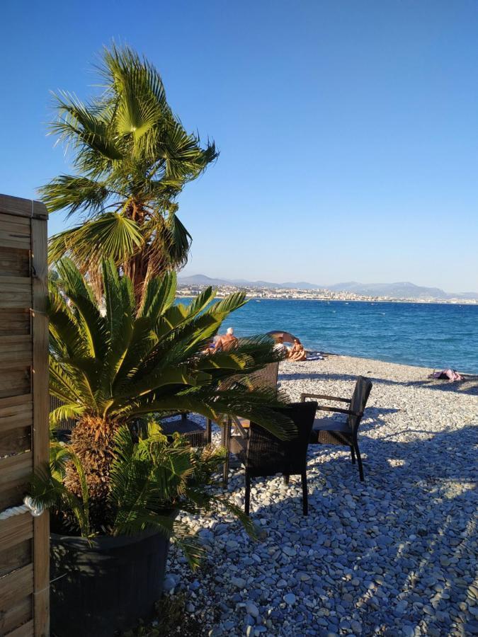 Studio Rez De Jardin Marina Baie Des Anges Villeneuve-Loubet Dış mekan fotoğraf