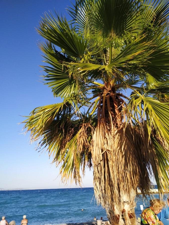 Studio Rez De Jardin Marina Baie Des Anges Villeneuve-Loubet Dış mekan fotoğraf